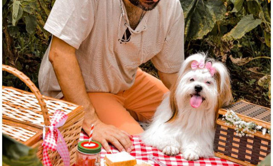 Café da manhã em parreiral e uma noite na carroça? Veja opções de experiências memoráveis na RMC