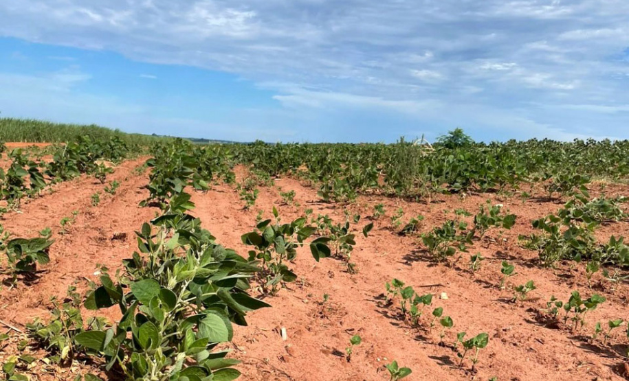Defesa Civil inicia o ano com ações contra a estiagem e atendimento a alagamentos