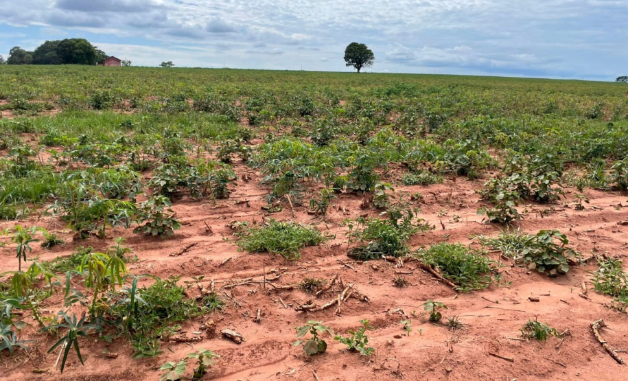 Defesa Civil inicia o ano com ações contra a estiagem e atendimento a alagamentos