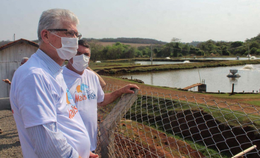 Frigorífico paranaense é o primeiro a conseguir chancela sanitária dada por consórcio