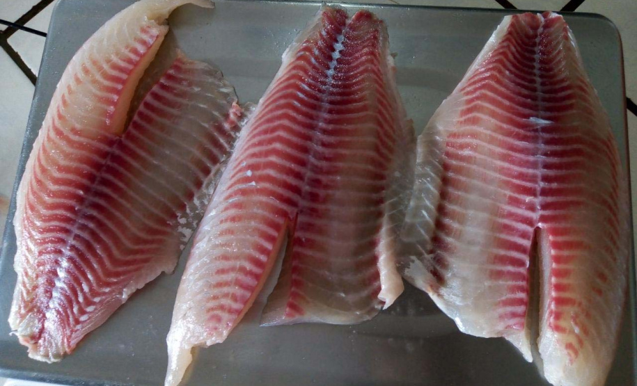 Frigorífico paranaense é o primeiro a conseguir chancela sanitária dada por consórcio