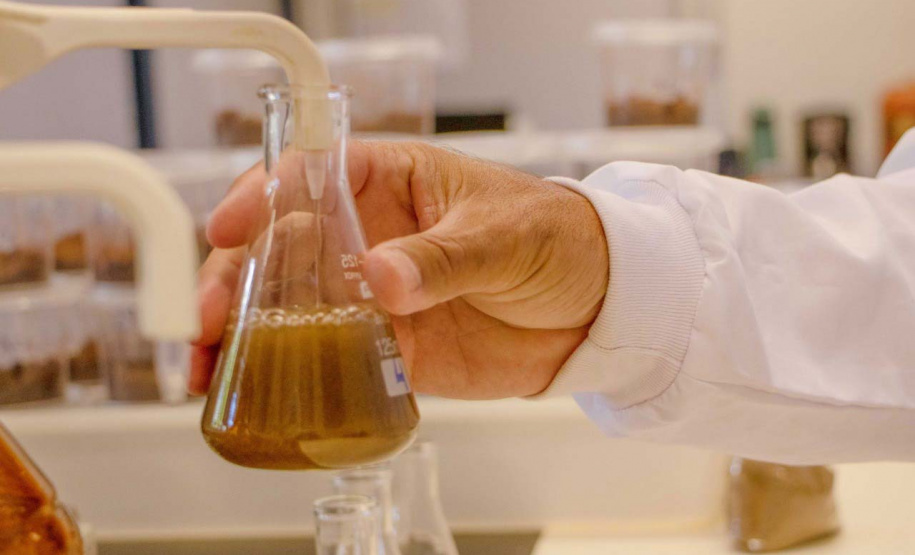 Pós em Agronomia da UEPG abre inscrições para mestrado e doutorado