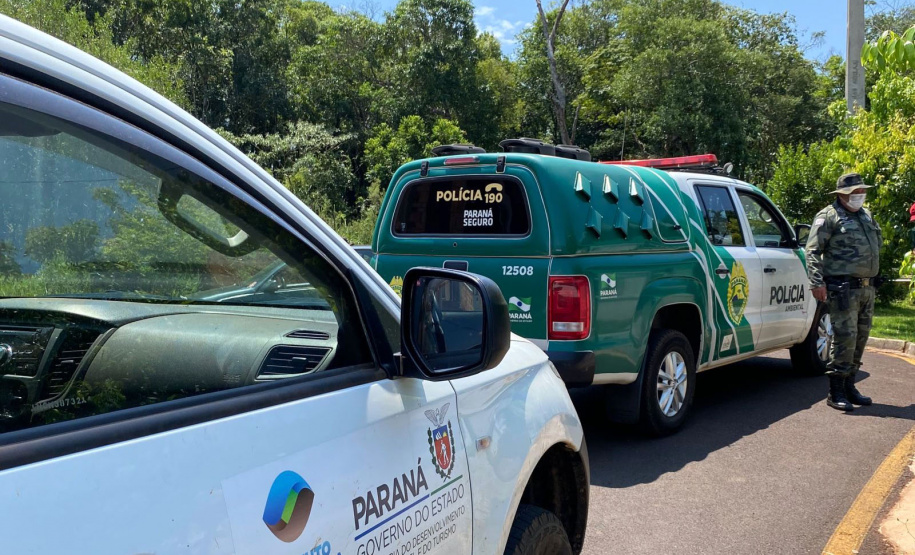 IAT e Polícia Ambiental resgatam 60 aves nativas em Pato Branco