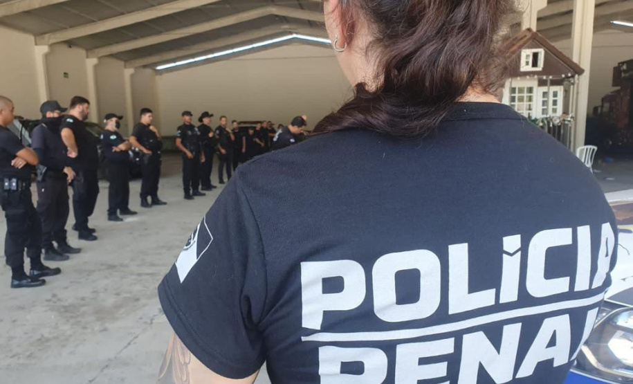 Deppen registra mais de 2,6 mil ações durante primeiros 45 dias do Verão Paraná Viva a Vida