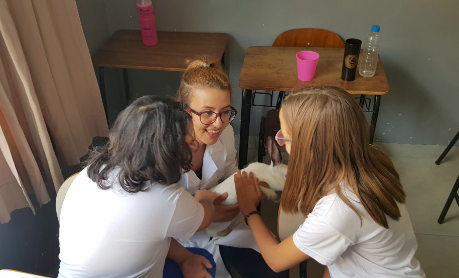 Animais ajudam na socialização de crianças e adultos no Norte do Paraná