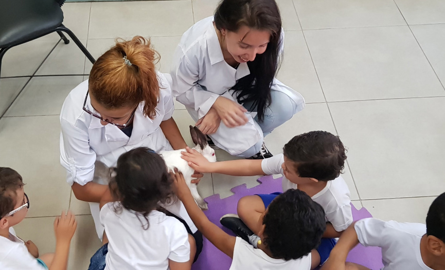 Animais ajudam na socialização de crianças e adultos no Norte do Paraná