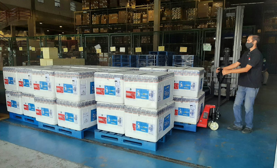 Mais 450 mil vacinas chegam ao Paraná e outras 354 mil ainda são aguardadas