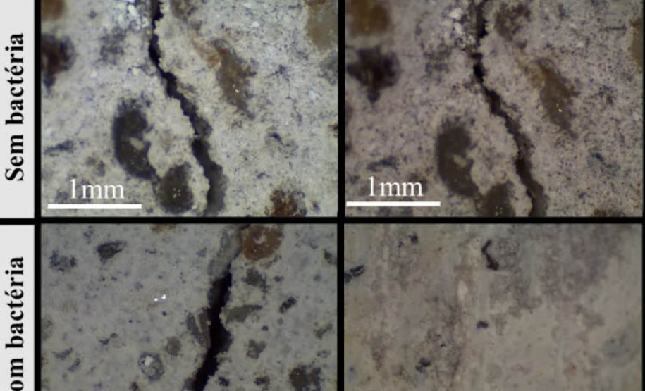 Pesquisadores da UEL utilizam bactérias de cavernas para fechar fissuras em argamassas