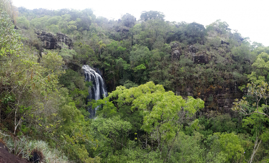 Conselho de Recuperação de Bens Ambientais Lesados convida ONGs para discutir apresentação de projetos