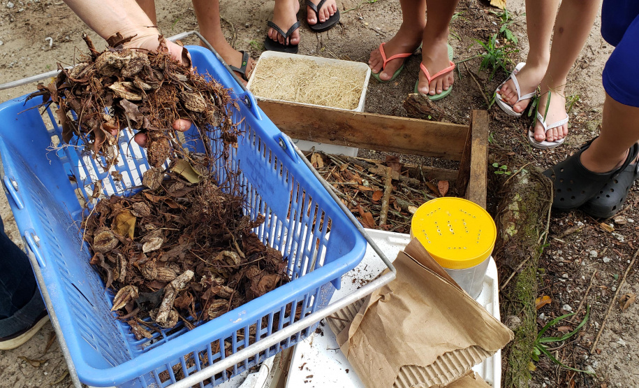 Aula prática de compostagem na Ilha do Mel
