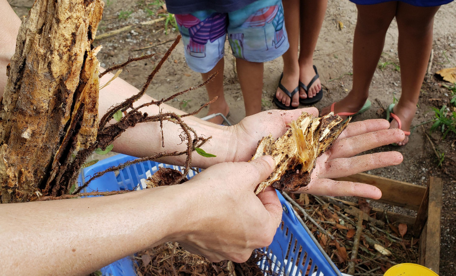 Aula prática de compostagem na Ilha do Mel