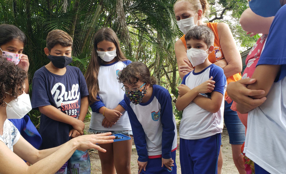 Aula prática de compostagem na Ilha do Mel