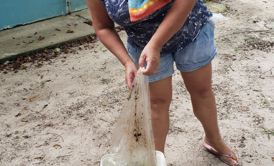Aula prática de compostagem na Ilha do Mel