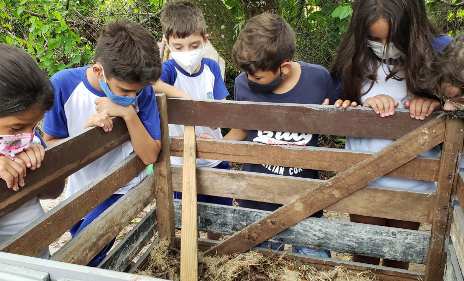 Aula prática de compostagem na Ilha do Mel