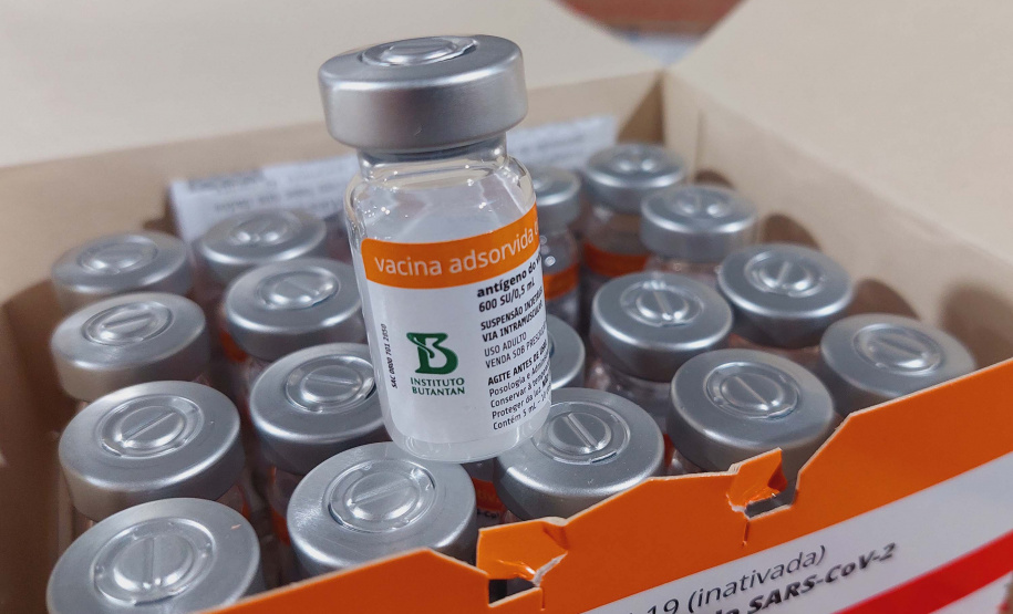 Paraná recebe 914 mil vacinas contra a Covid-19 e mais 294 mil Pfizer devem chegar ainda hoje