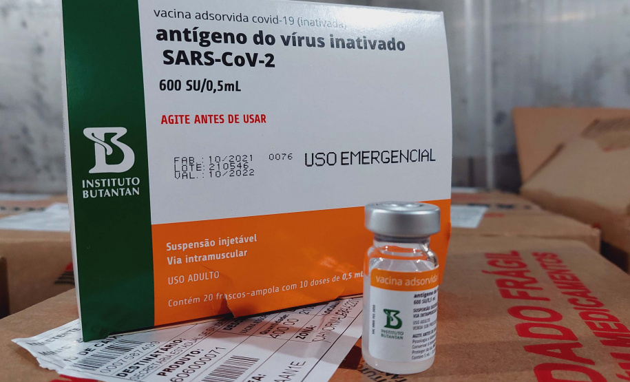 Paraná recebe 914 mil vacinas contra a Covid-19 e mais 294 mil Pfizer devem chegar ainda hoje