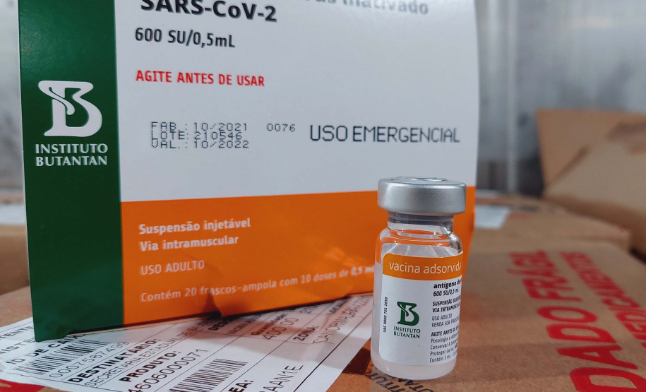 Paraná recebe 914 mil vacinas contra a Covid-19 e mais 294 mil Pfizer devem chegar ainda hoje