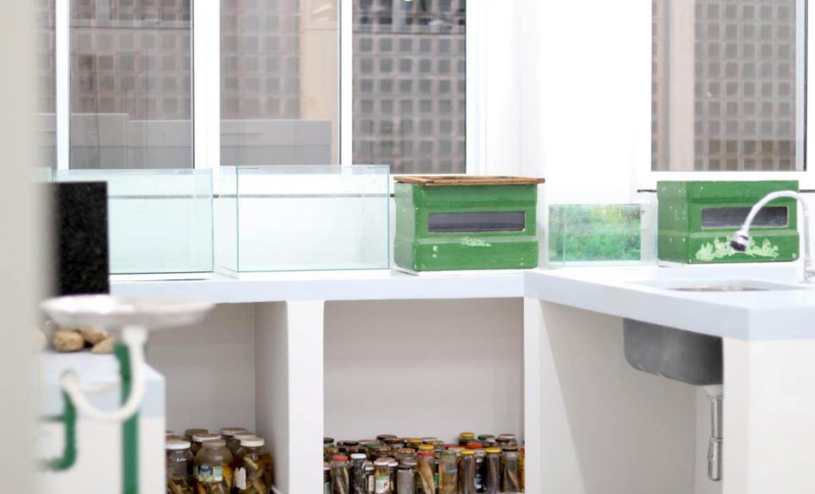 Unioeste inaugura instalações para pesquisas nas áreas de Biologia e Saúde em Cascavel