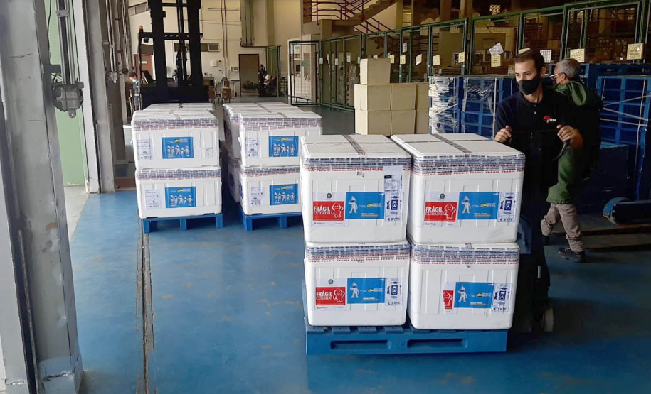 Mais 450 mil vacinas chegam ao Paraná e outras 354 mil ainda são aguardadas