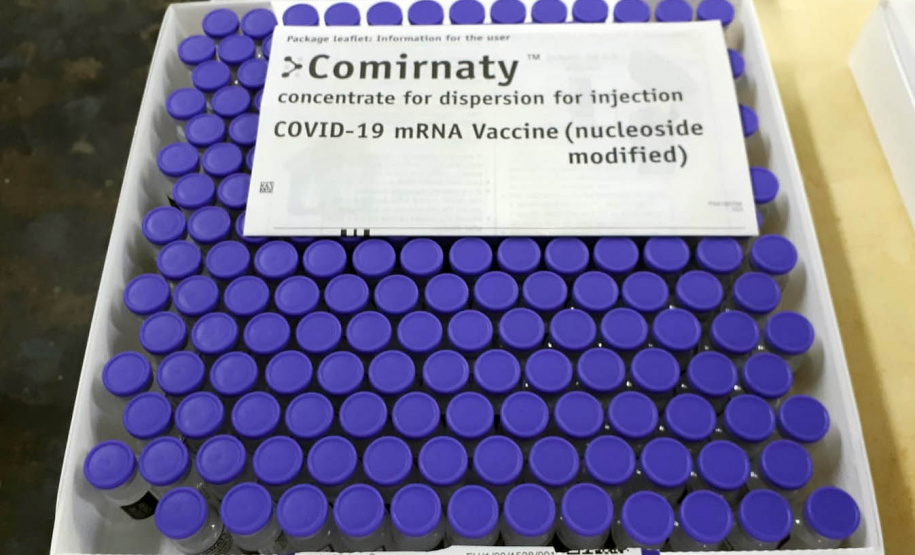 Mais 450 mil vacinas chegam ao Paraná e outras 354 mil ainda são aguardadas