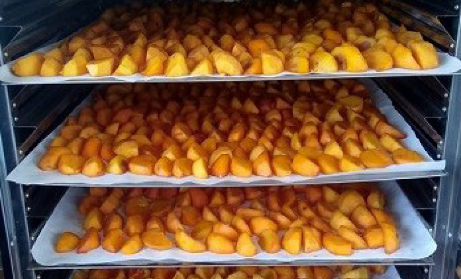 Caqui desidratado é alternativa para produtor aumentar ganho com a fruta