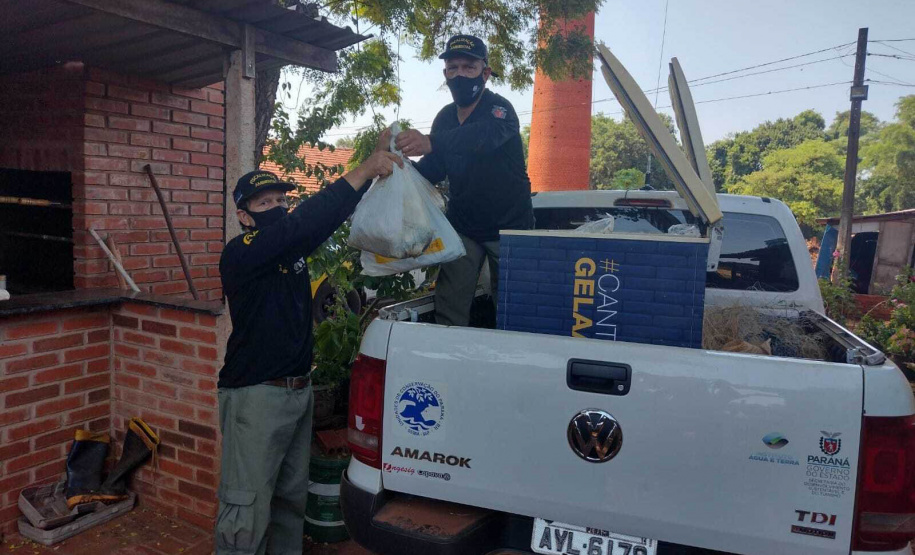 Cumprimento a denúncia sobre comercialização ilegal de peixes nativos - Curitiba, 17/02/2022