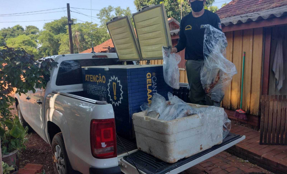 Cumprimento a denúncia sobre comercialização ilegal de peixes nativos - Curitiba, 17/02/2022