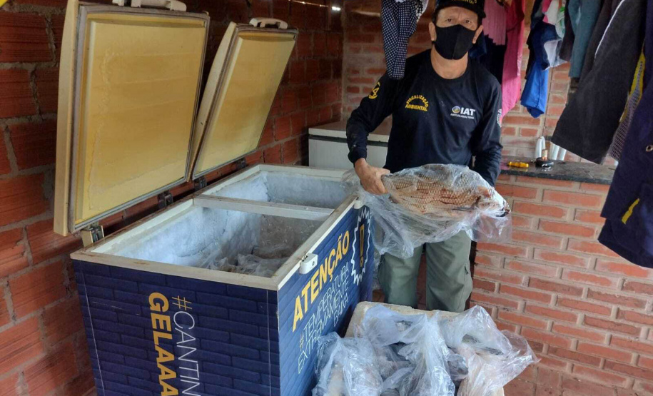 Cumprimento a denúncia sobre comercialização ilegal de peixes nativos - Curitiba, 17/02/2022