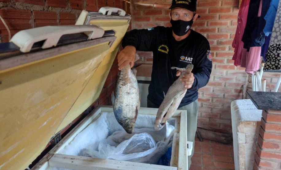 Cumprimento a denúncia sobre comercialização ilegal de peixes nativos - Curitiba, 17/02/2022