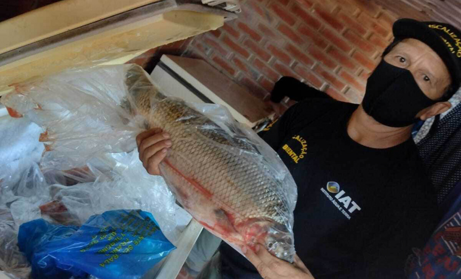 Cumprimento a denúncia sobre comercialização ilegal de peixes nativos - Curitiba, 17/02/2022