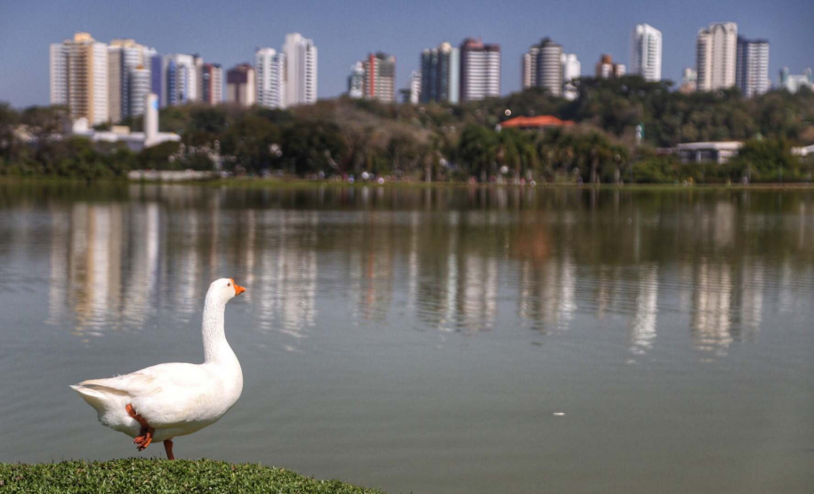 Setor do turismo cresce 13,7% no Paraná em 2021; serviços avançam 8,3%.