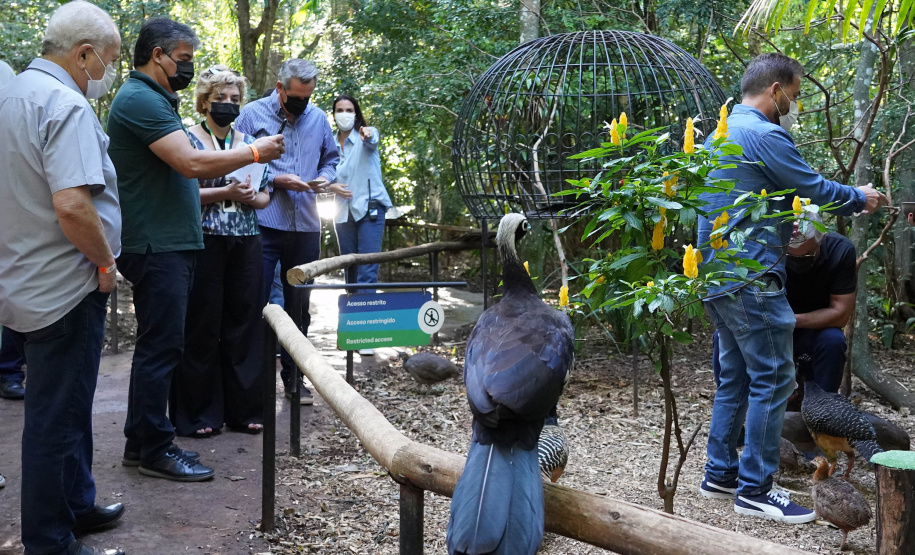 Diretores do BRDE, prefeito de Foz e parceiros visitam Parque das Aves e discutem fomento ao turismo