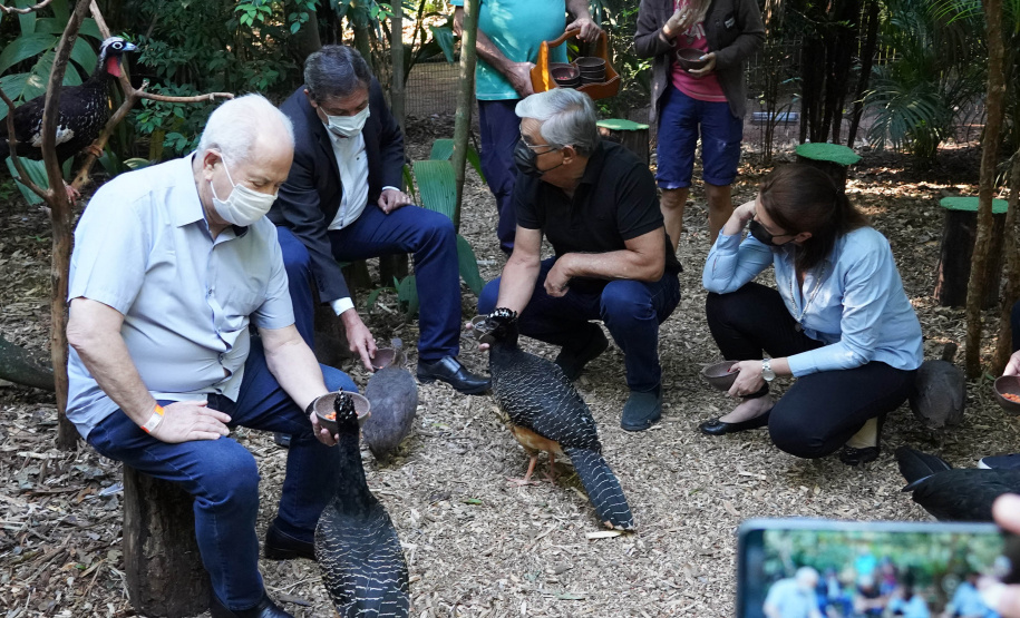 Diretores do BRDE, prefeito de Foz e parceiros visitam Parque das Aves e discutem fomento ao turismo