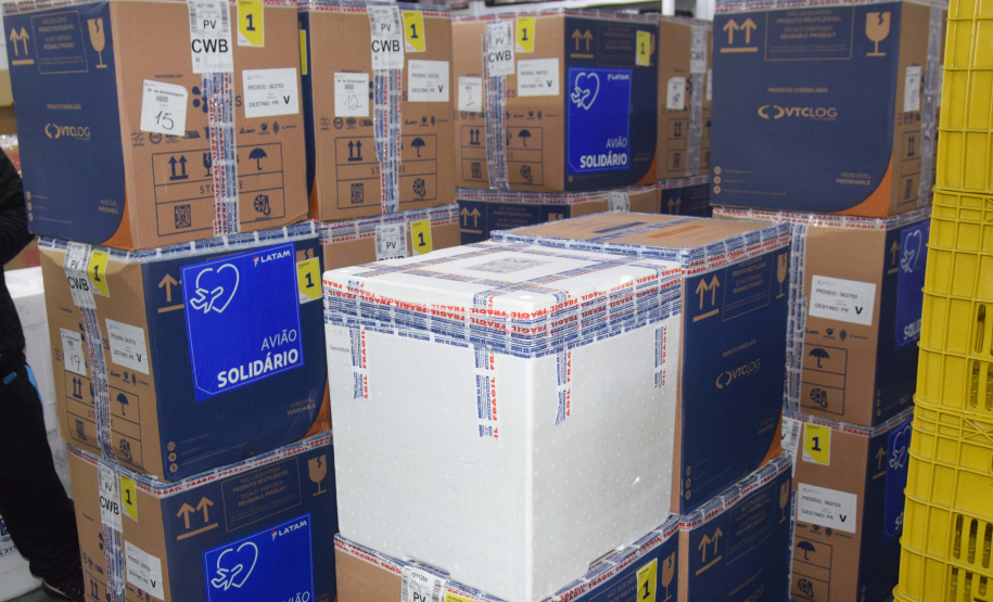 Mais de 294 mil vacinas da Pfizer contra a Covid -19 chegaram ao Estado nesta quinta