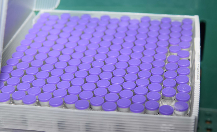 Mais de 294 mil vacinas da Pfizer contra a Covid -19 chegaram ao Estado nesta quinta