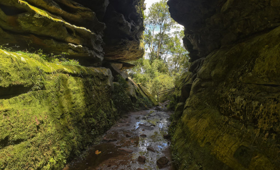Concessão do Parque Estadual do Guartelá tem nova consulta pública a partir desta sexta-feira