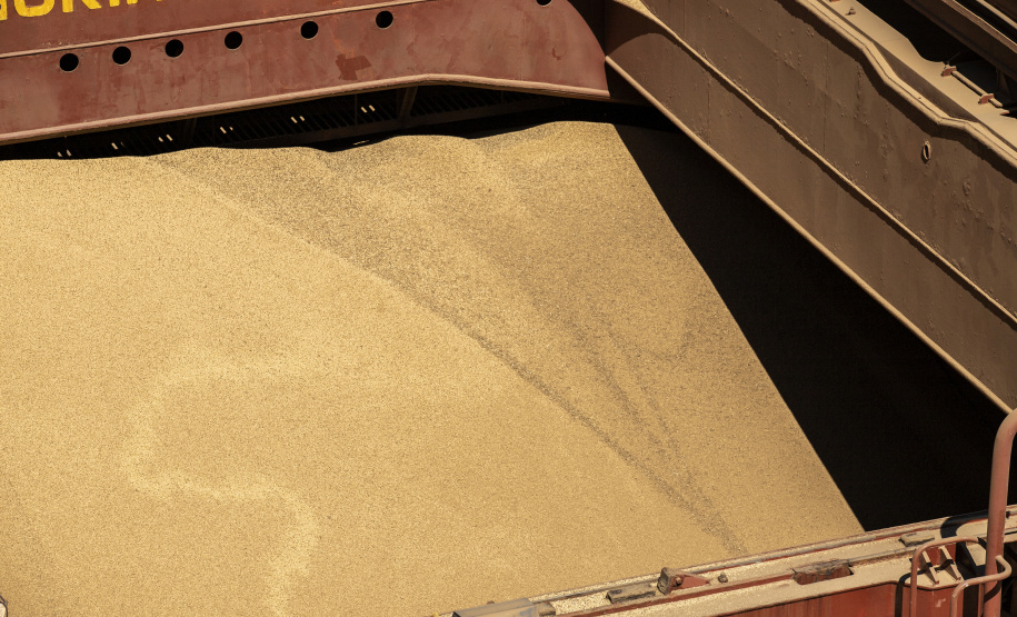 Janeiro encerra com recorde histórico de movimentação mensal nos portos do Paraná