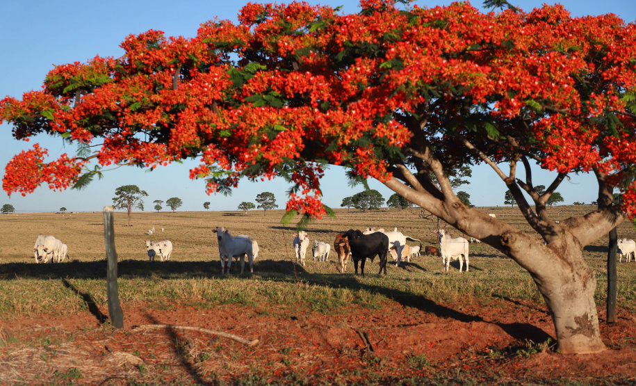 Governo e Faep discutem sustentabilidade no agronegócio