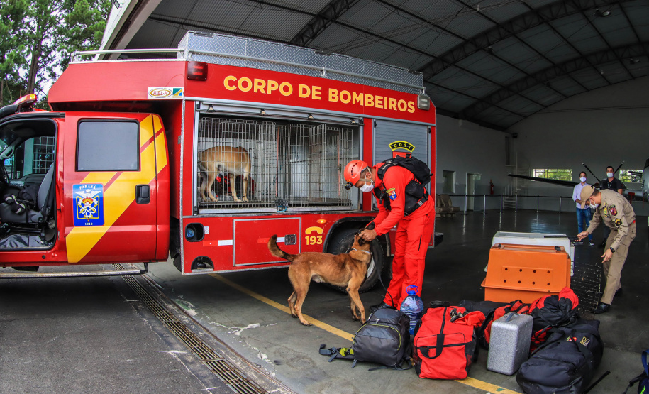 Governo do Paraná envia 10 bombeiros e quatro cães para buscas a desaparecidos em Petrópolis