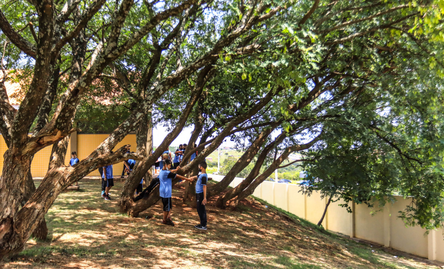 Os alunos do Colégio Estadual William Madi, de Cornélio Procópio, no Norte do Estado, finalmente têm uma escola para chamar de sua. Uma das 14 unidades que foram alvo da Operação Quadro Negro, a nova sede da escola foi entregue nesta quinta-feira (17) pelo governador Carlos Massa Ratinho Junior.