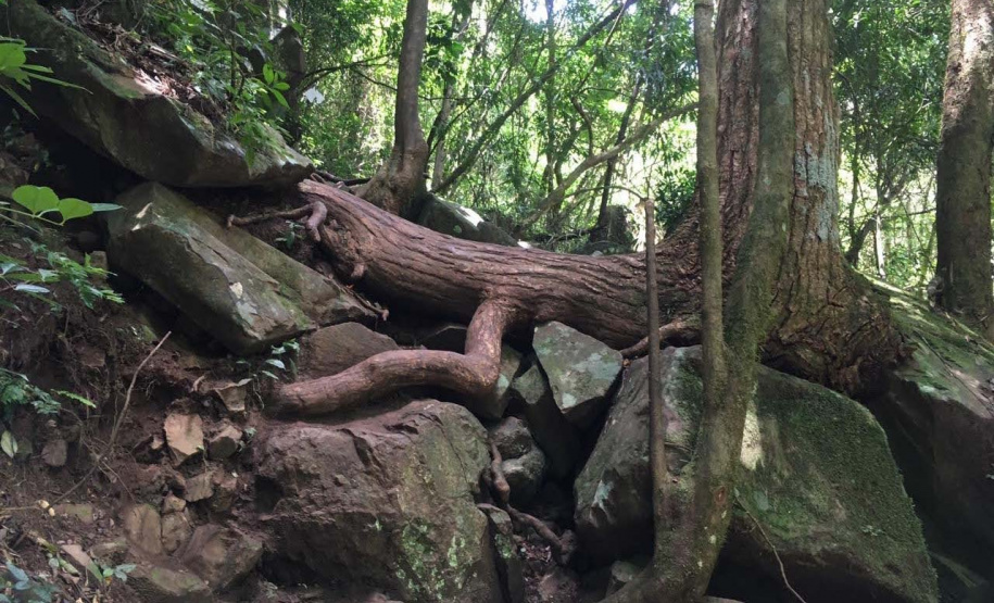 IAT interdita trilha do Parque Estadual Salto São Francisco da Esperança