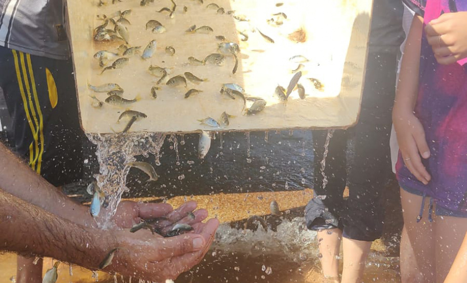 Em apoio a Desafio de Pesca, Governo promove soltura de 105 mil peixes nativos no Rio Paraná