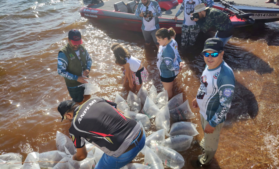 Em apoio a Desafio de Pesca, Governo promove soltura de 105 mil peixes nativos no Rio Paraná