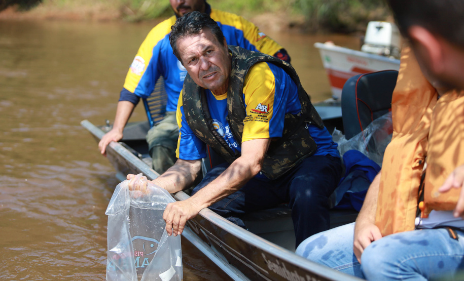 Rio Xambrê é repovoado com 50 mil peixes juvenis nativos