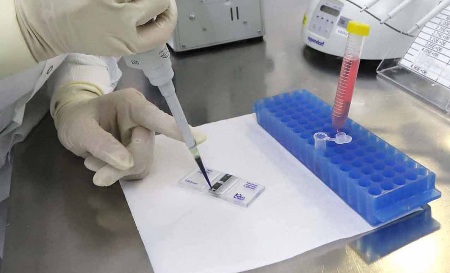 Vale do Genoma intensifica ações para fomento a pesquisas