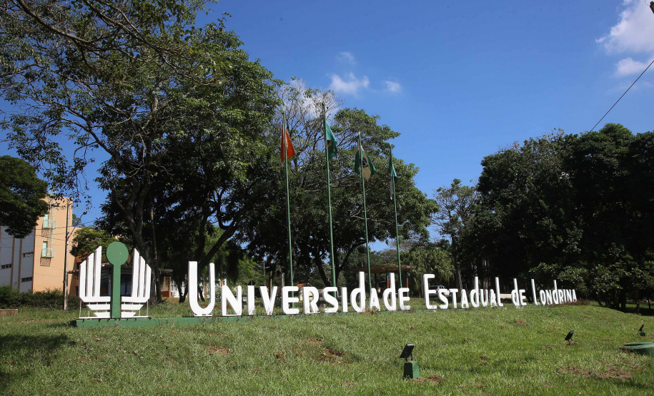 Abertas inscrições para 205 vagas de estágio em setores da UEL