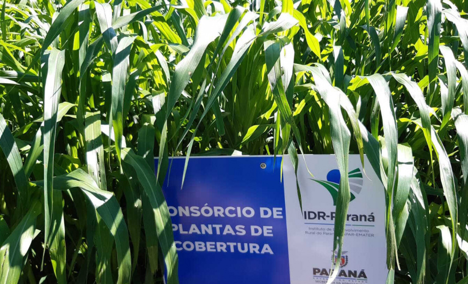 Manejo do solo é atração do IDR-Paraná no Show Rural