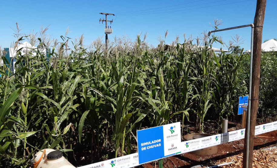 Manejo do solo é atração do IDR-Paraná no Show Rural