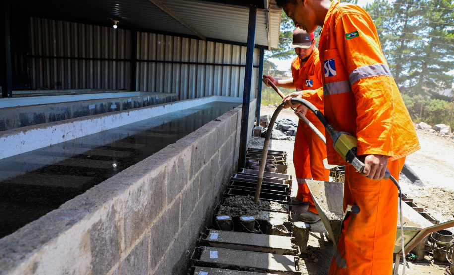 Pavimentação em concreto da PRC-280 no Sudoeste chega a 19% de conclusão