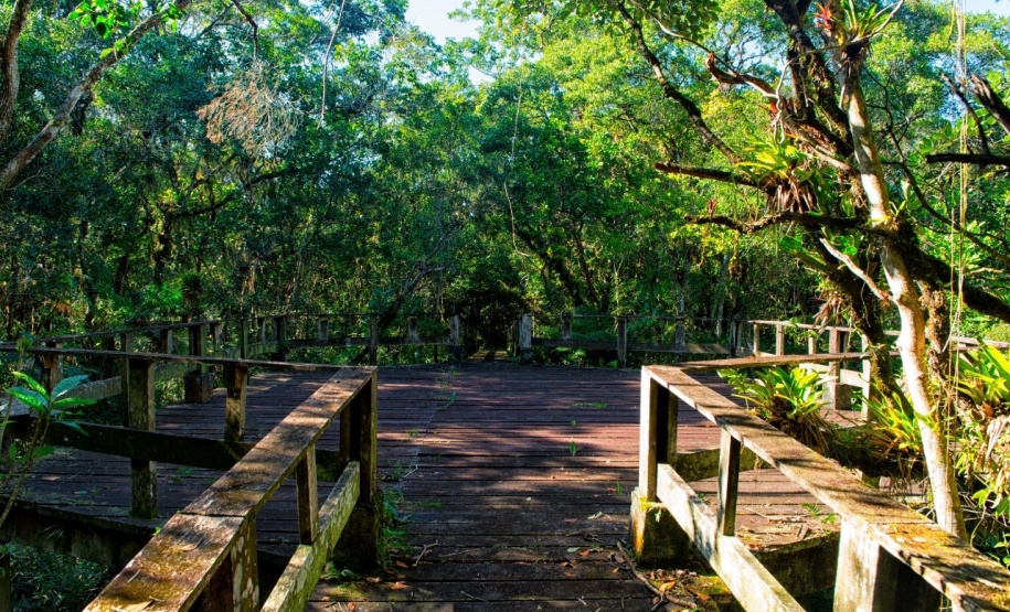 Parques estaduais viram atrações diferenciadas para veranistas e moradores da região do Litoral